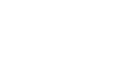 CEO Lawyer