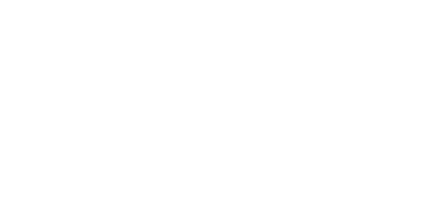 CEO Lawyer